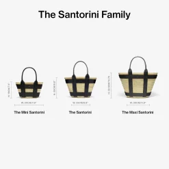Fashion DeMellier The Maxi Santorini Natural Basket Tan Smooth
